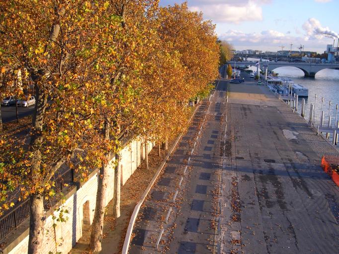  Automne sur les quais de la Seine (12e)